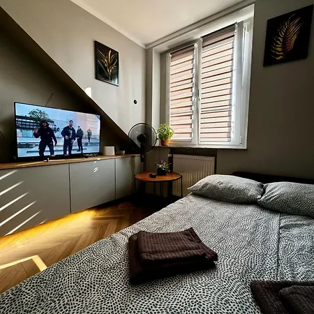 Studio Przy Rynku - Bezplatne Pozne Wymeldowanie - Wystawiamy Fv - Self Check In Opole Eksteriør bilde